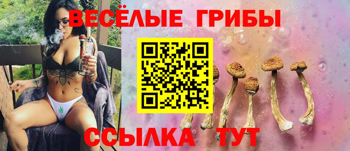 Галлюциногенные грибы GOLDEN TEACHER Егорьевск