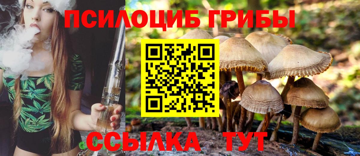 Псилоцибиновые грибы Psilocybine cubensis  Псилоцибиновые грибы MAGIC MUSHROOMS  Вход с VPN  Егорьевск 