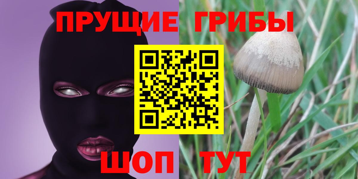 ГАШИШ  MDMA  ЭКСТАЗИ  Купить наркотики  Вход с VPN  LSD-25  Егорьевск  Конопля  МЕФ   А ПВП СОЛЬ кристаллы  COCAIN  ГАШ 
